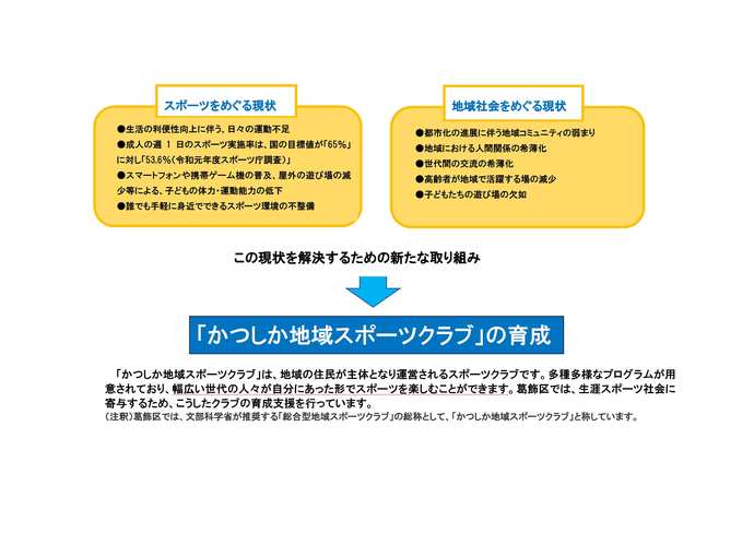 地域の現状（フローチャート図）