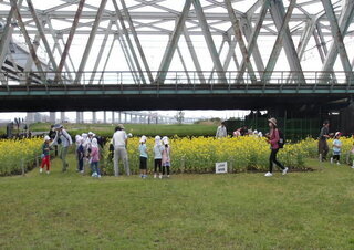 花摘みイベントの様子