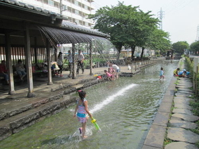 曳舟川親水公園(亀有図書館付近)の写真