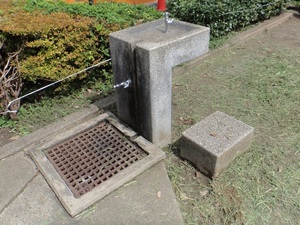 施工前(奥戸南汐公園)の写真