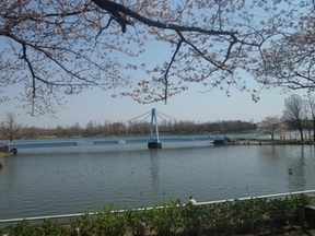 水元大橋