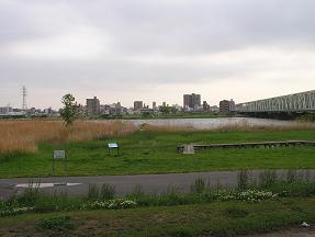 葛飾あらかわ水辺公園の様子