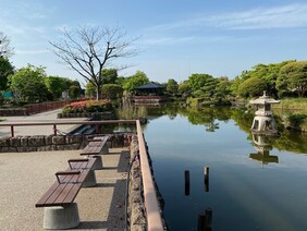 日本庭園の写真