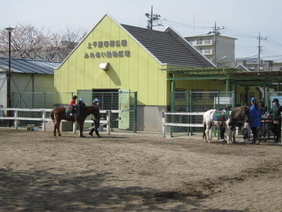 ポニー乗馬の写真