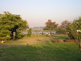 寅さん記念館上部の芝生広場の写真