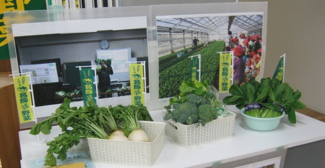 給食展