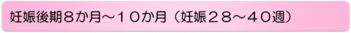 妊娠後期8か月から10か月（妊娠28週から40週）