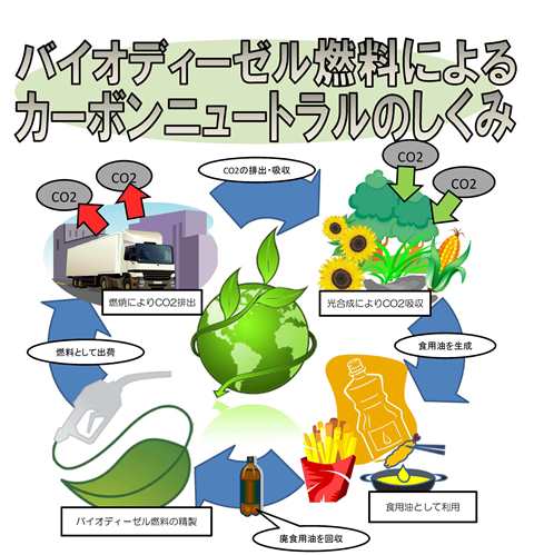 カーボンニュートラルの仕組み