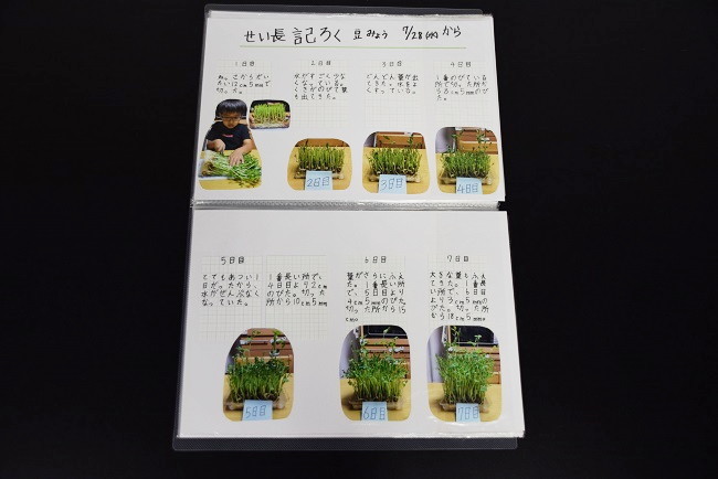 小学校の部　入賞