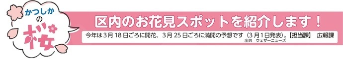 かつしかの桜　区内のお花見スポットを紹介します。