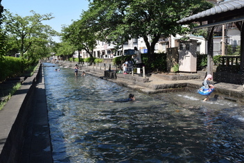 曳舟川親水公園（四つ木5-17付近）