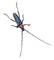 クビアカツヤカミキリの成虫(オス)の写真