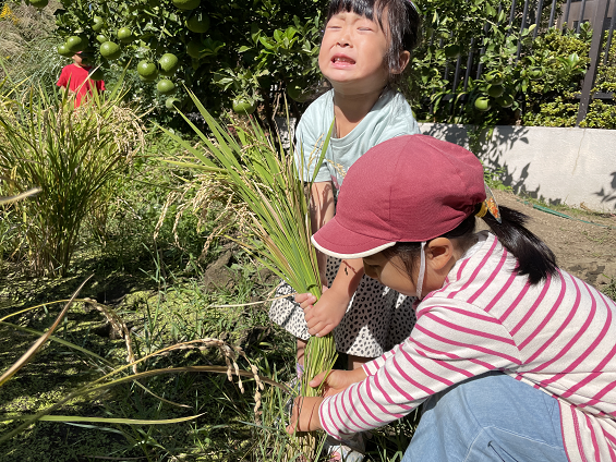 子供たちと馬