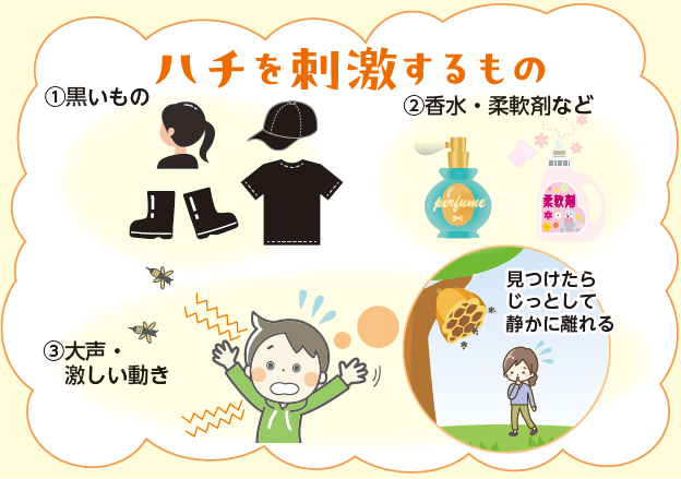 ハチを刺激するもの（イラスト）