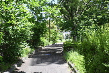 散歩道
