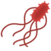 腸管出血性大腸菌O157