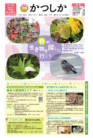 1面の画像