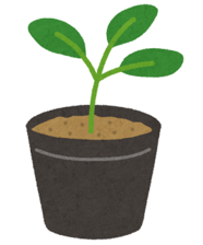 イラスト